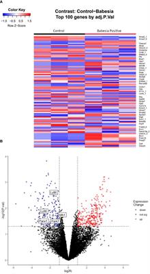 Comparative gene expression responses to Babesia infection and oil contamination in a seabird